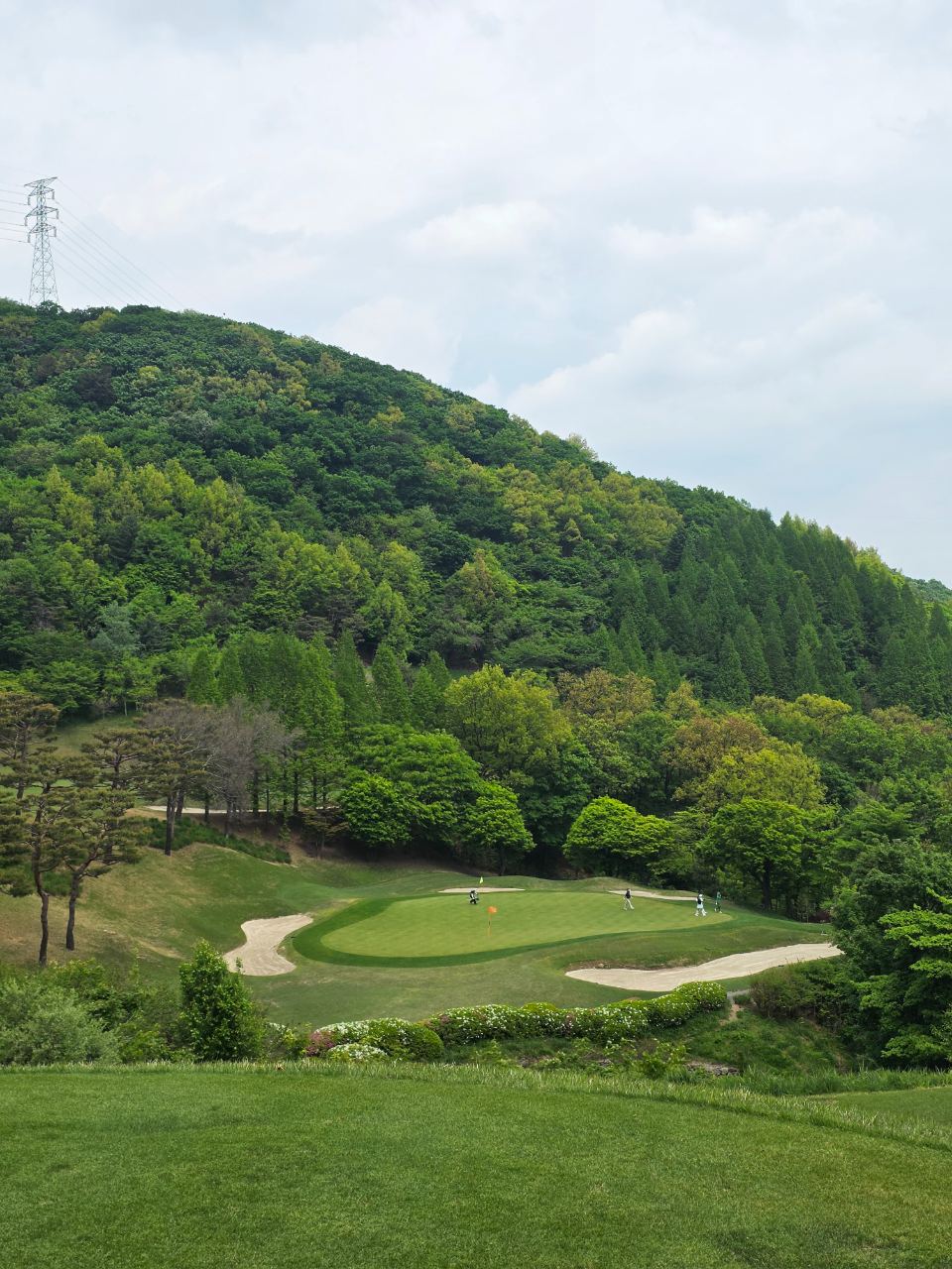라운드 사진