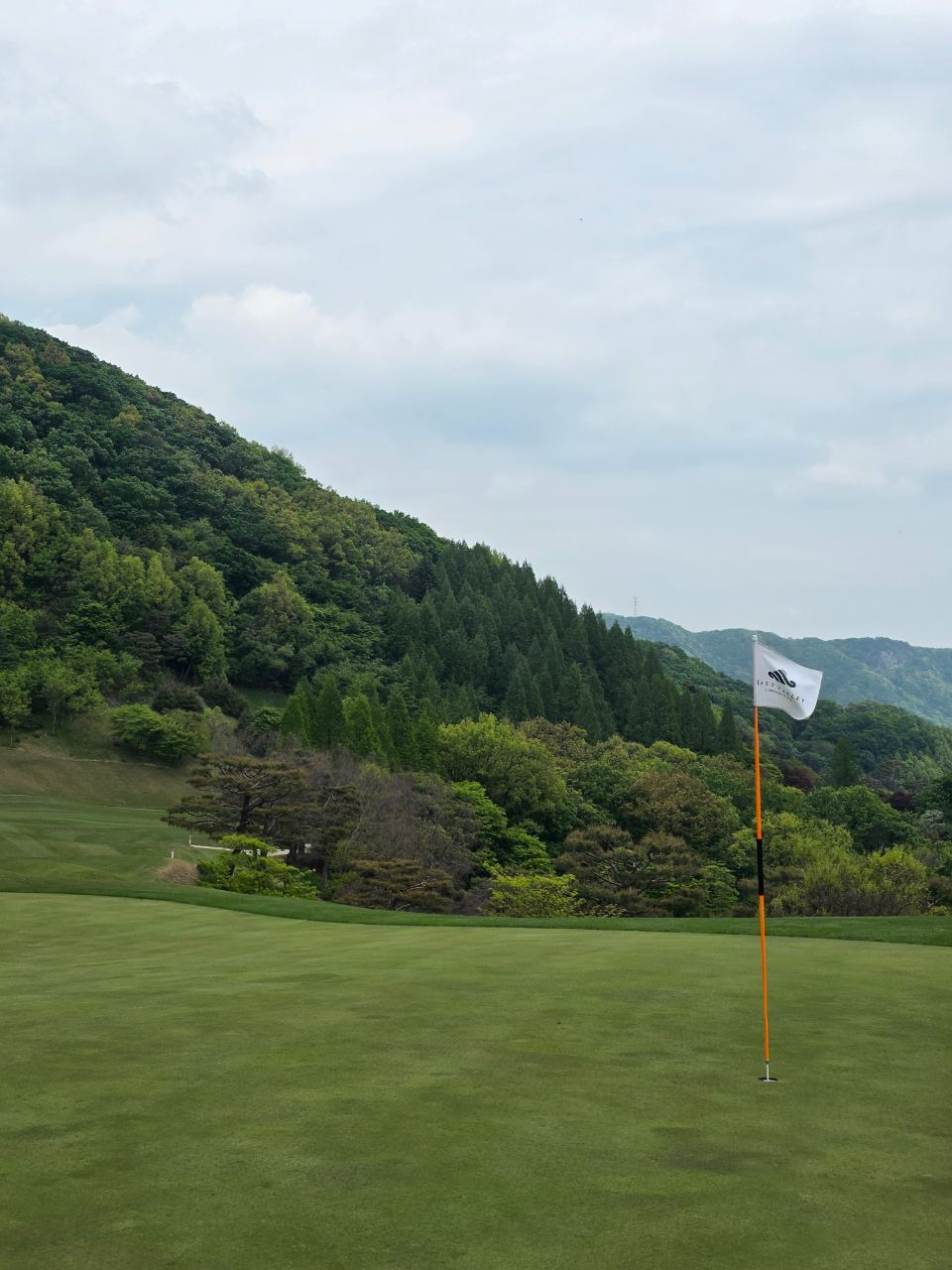 라운드 사진
